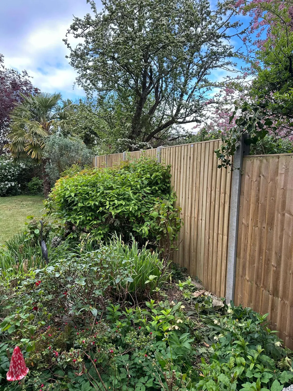 New closeboard fence behind a planted garden border