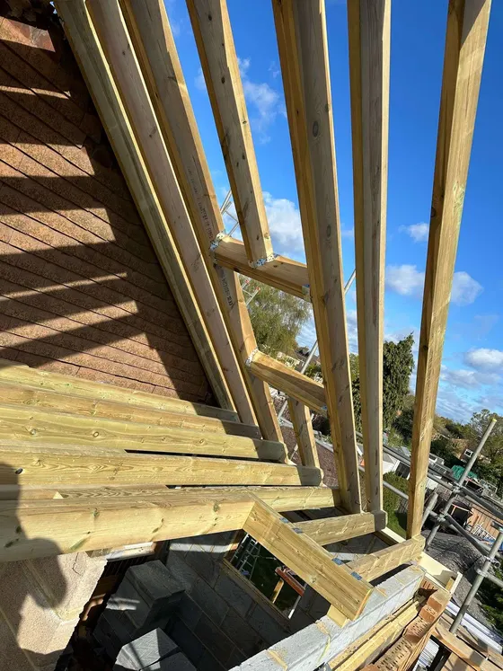 Rafters viewed from the scaffold