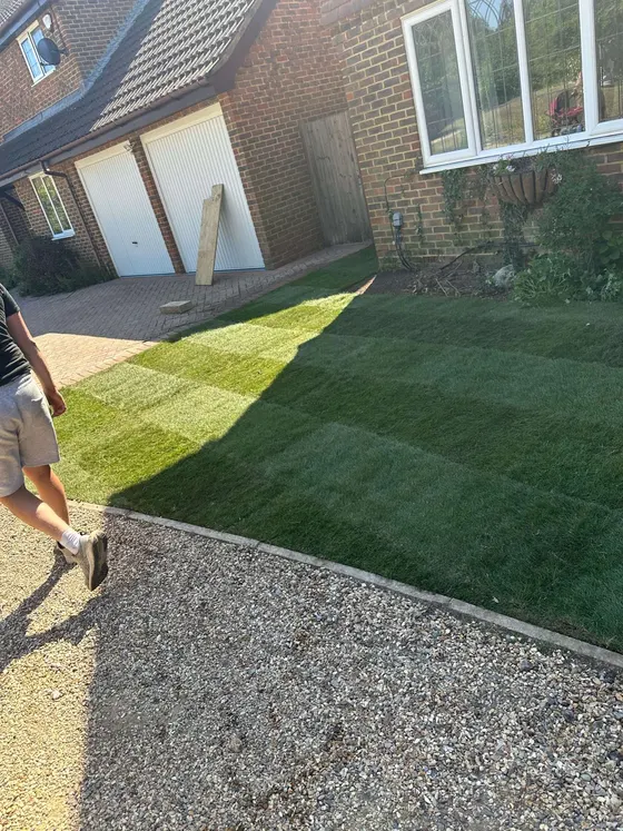 New turf rolled out in a front garden beside a gravel drive